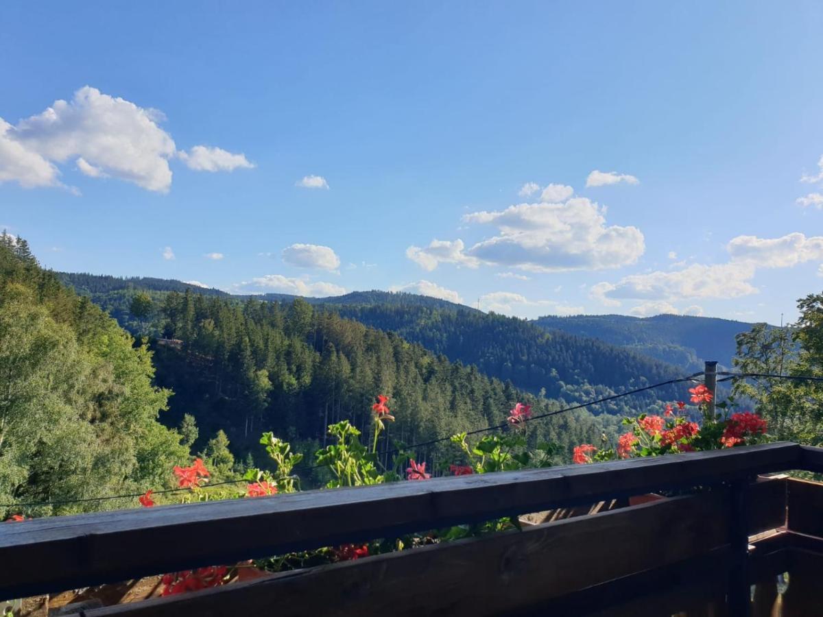 Landhaus Valentin Apartamento Triberg im Schwarzwald Exterior foto