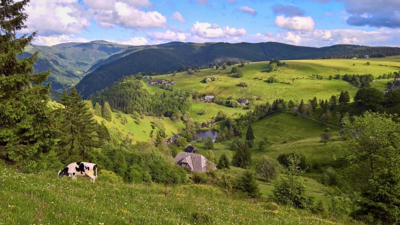 Landhaus Valentin Apartamento Triberg im Schwarzwald Exterior foto