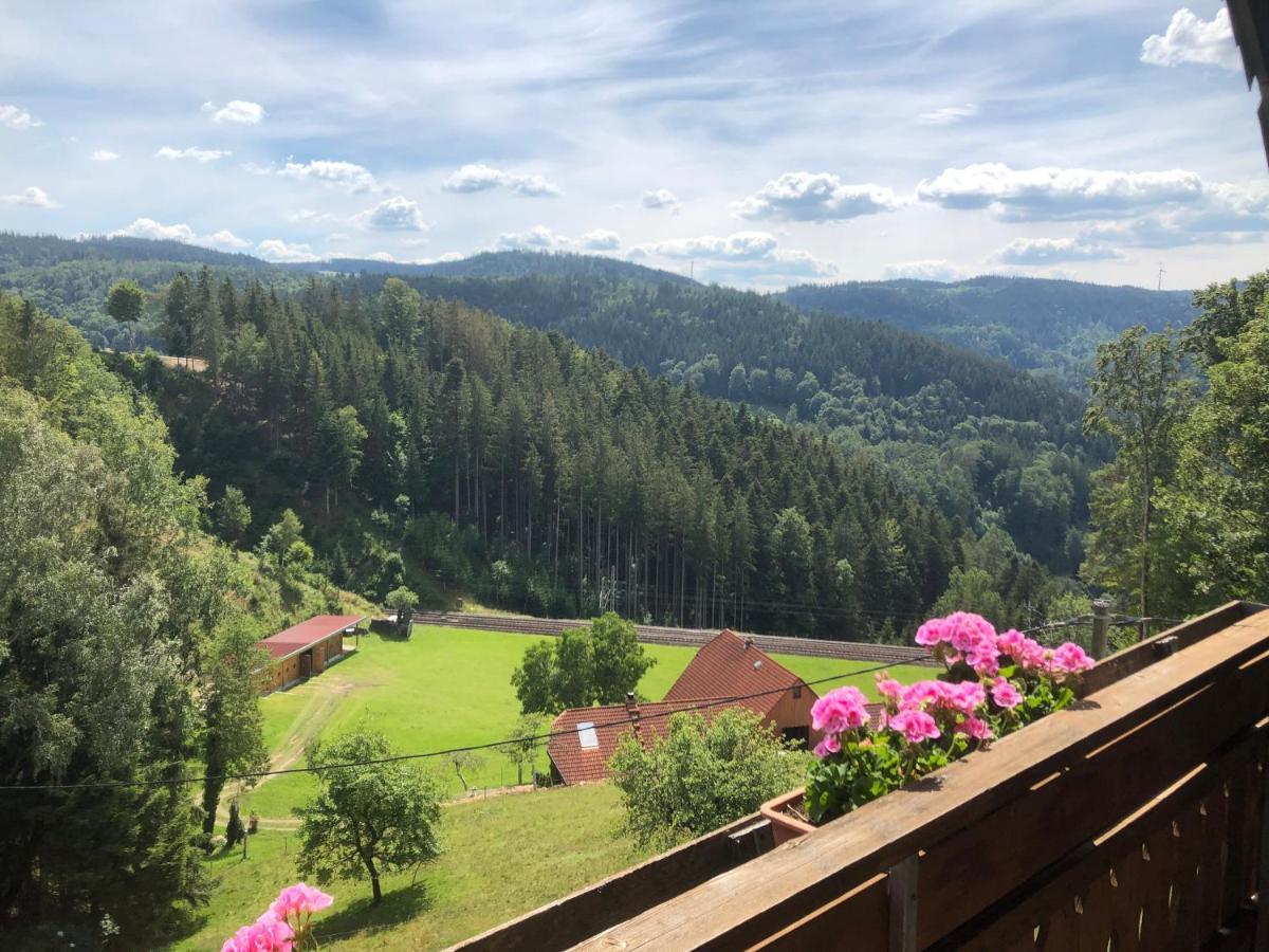 Landhaus Valentin Apartamento Triberg im Schwarzwald Exterior foto