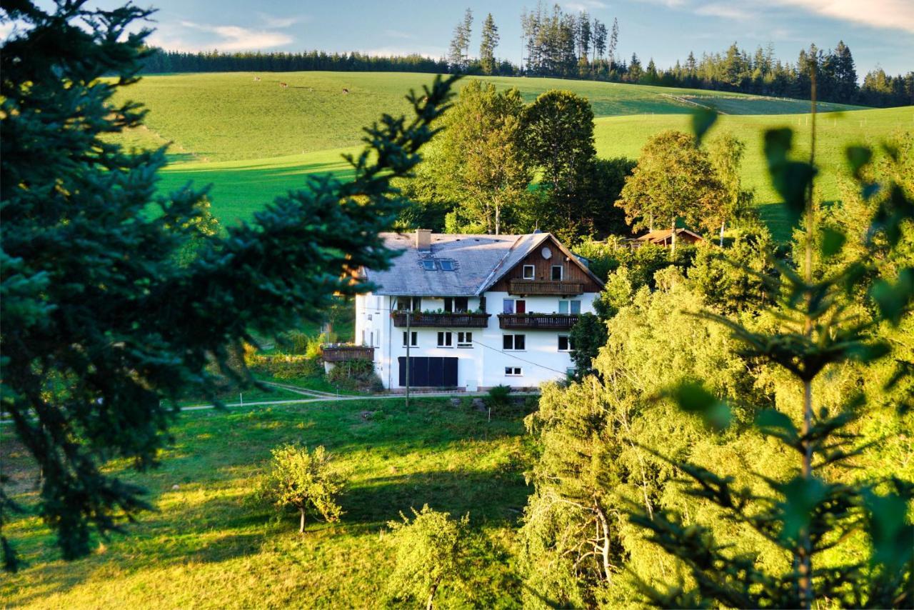 Landhaus Valentin Apartamento Triberg im Schwarzwald Exterior foto