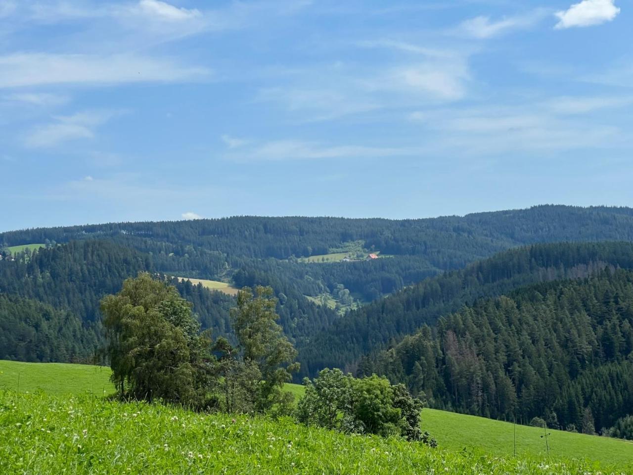 Landhaus Valentin Apartamento Triberg im Schwarzwald Exterior foto