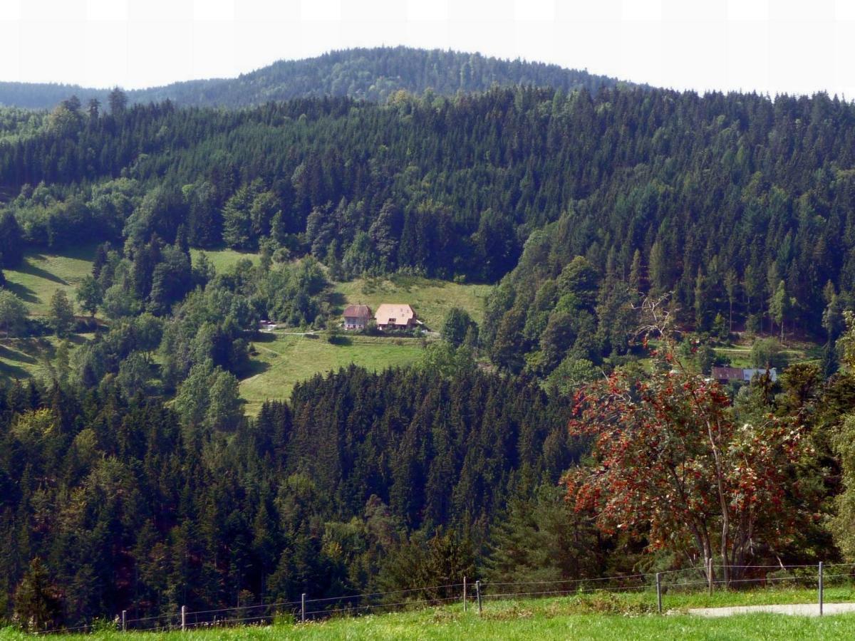 Landhaus Valentin Apartamento Triberg im Schwarzwald Exterior foto