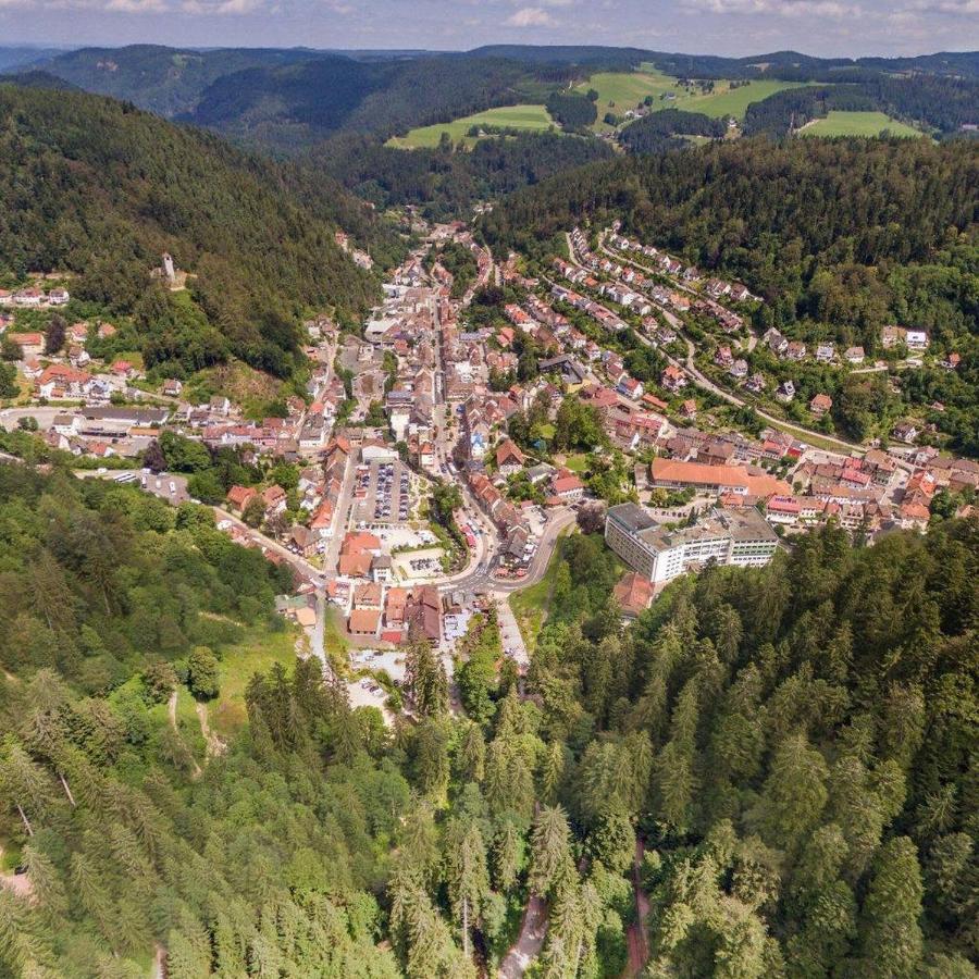 Landhaus Valentin Apartamento Triberg im Schwarzwald Exterior foto