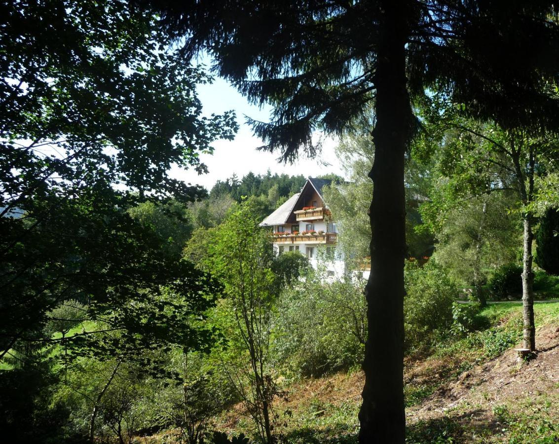 Landhaus Valentin Apartamento Triberg im Schwarzwald Exterior foto